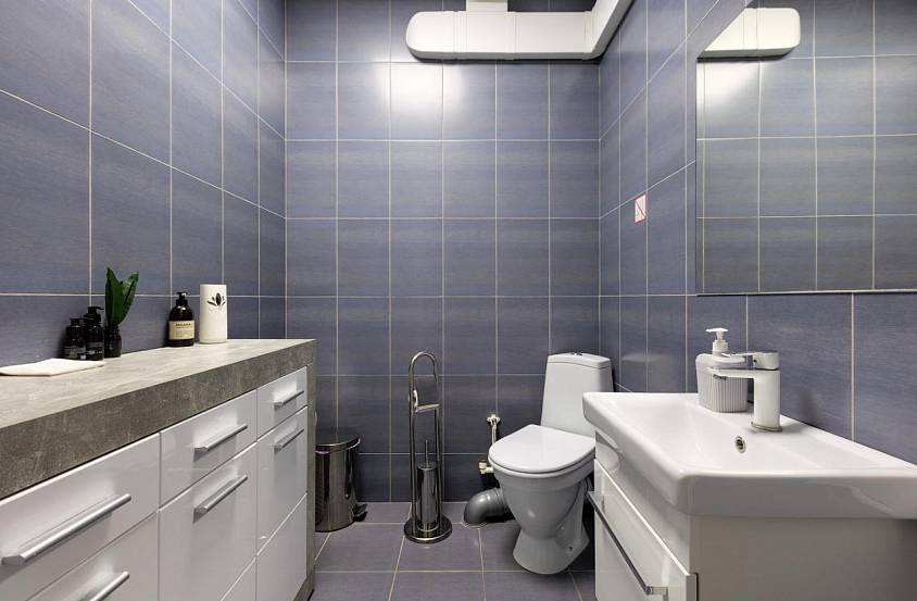 Аренда, Красногорск, деревня Путилково, 24 (83,4 м2) - фото-8